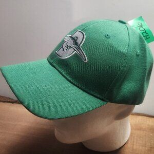 H206 - Delmarva Shorebirds Hat